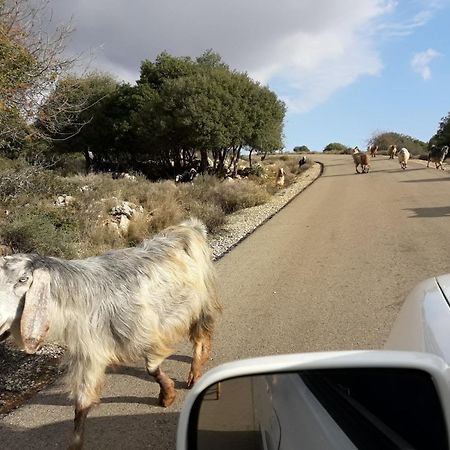 Country Lodging In Manot Εξωτερικό φωτογραφία